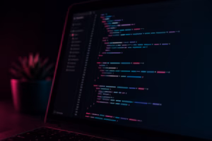 custom web development code South Africa